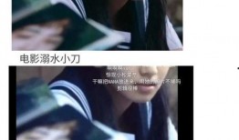 重生之我在娱乐圈吃瓜,吃瓜达人逆袭之路